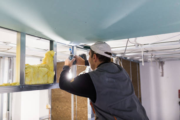 Best Insulation for Specific Applications in Cairo, NE