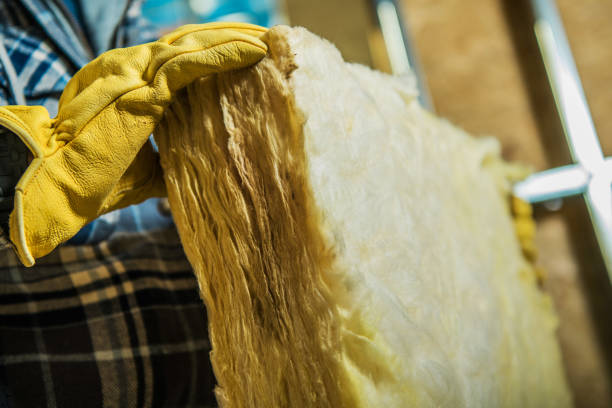 Types of Insulation We Offer in Cairo, NE