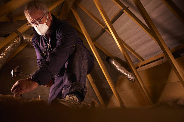 Best DIY Insulation Kits and Guidance in Cairo, NE